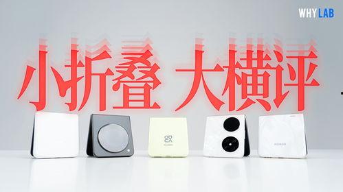 国产小久久